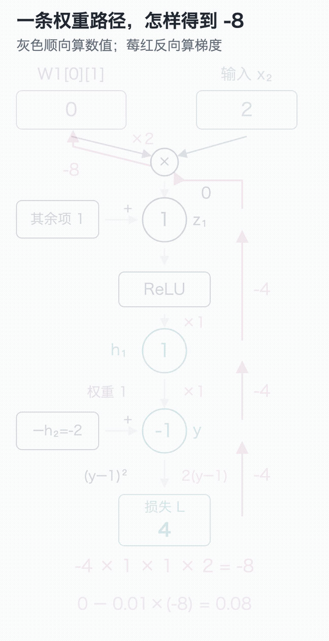 前向填数、反向算梯度、最后统一更新的三个独立阶段