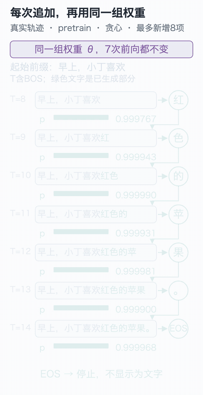 同一权重下，七次前向、选择、追加与EOS停止的真实轨迹