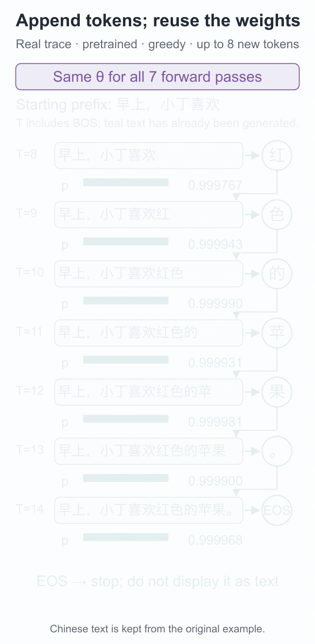 The actual seven-step trajectory under fixed weights: forward computation, selection, appending, and stopping on EOS